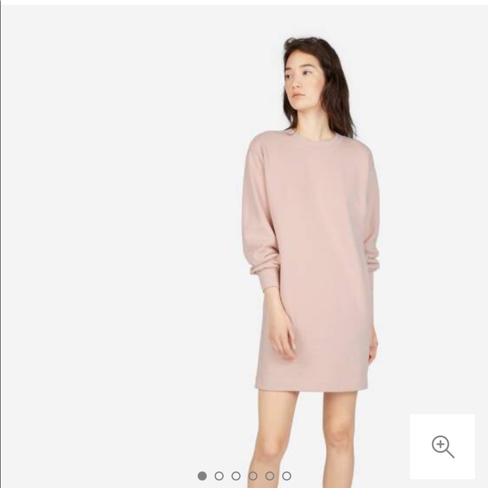 Everlane Classic French Terry Crew Dress [EUC]